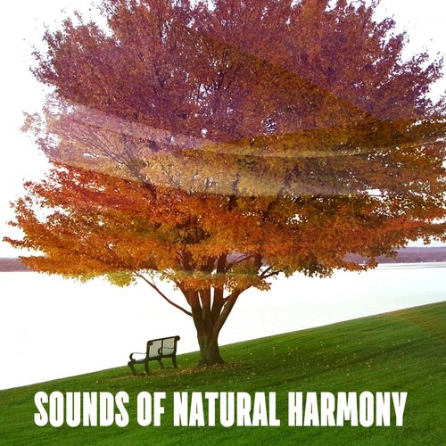 Sounds Of Natural Harmony
