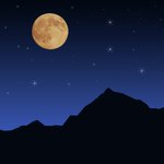 The Sleep Bliss Sessions - 40 Ultimate and Timeless Songs for Total Soothing Deep Sleep, Absolute Rest, and Instant Focus