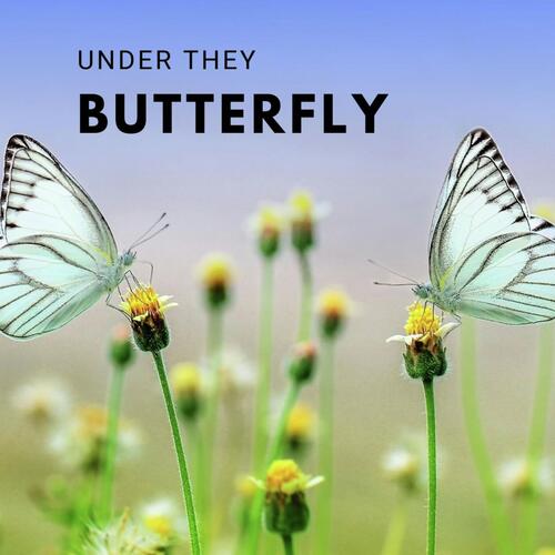 Under They Butterfly