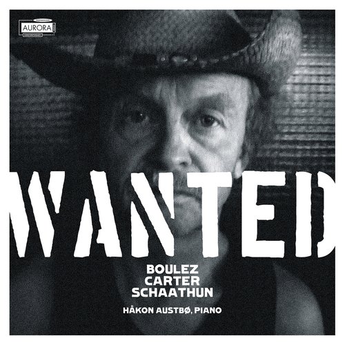 Wanted_poster_image