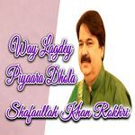 Way Lagdey Piyaara Dhola
