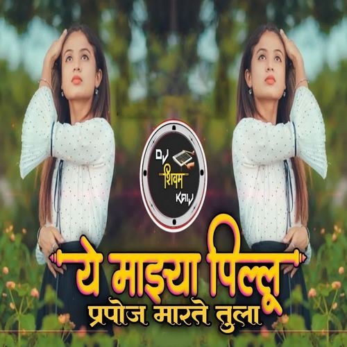 Ye Mazya Pillu Prapose Marte Tulaa (Dj Shivam Kaij)