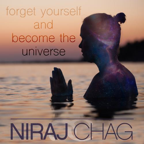 forget yourself and become the universe_poster_image