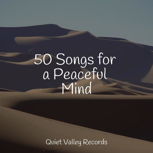 Focused, Relaxed cover art