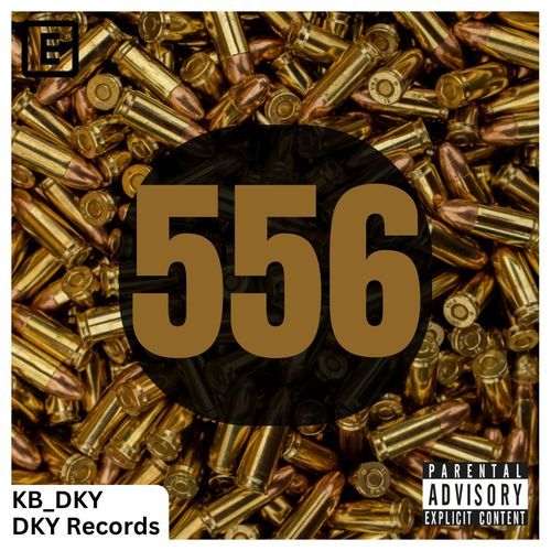 556 cover art