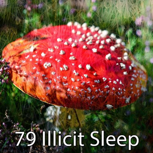 79 Illicit Sle - EP