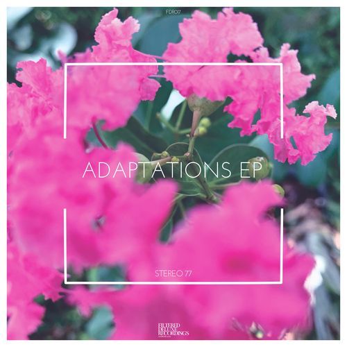 Adaptations