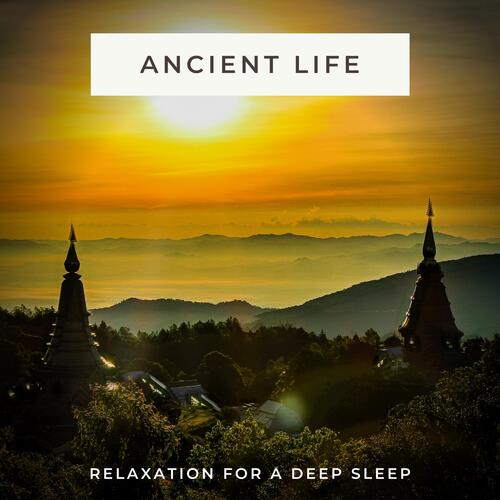 The Sleeping Ancient Monk cover art