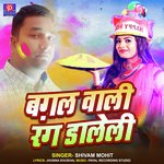 Bagal Wali Rang Daleli (Holi Song)