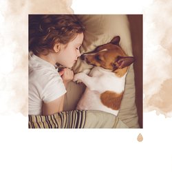 Berceuses du soir pour les chiens : Vibrations inspirantes