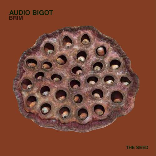 Audio Bigot