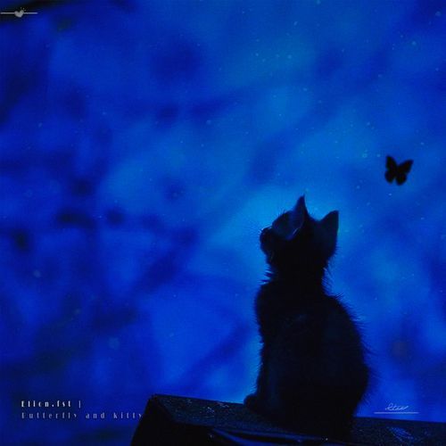 Butterfly and Kitty