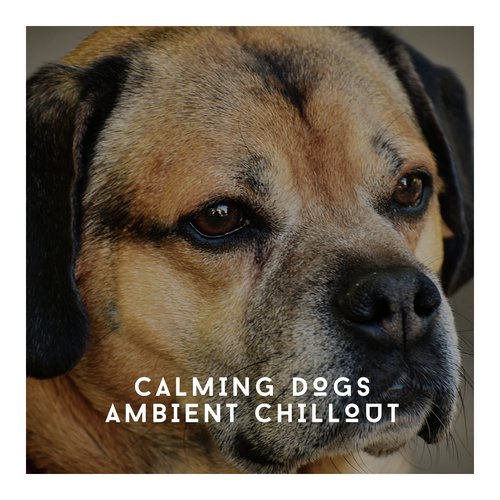 Tired Dog Chill Out cover art