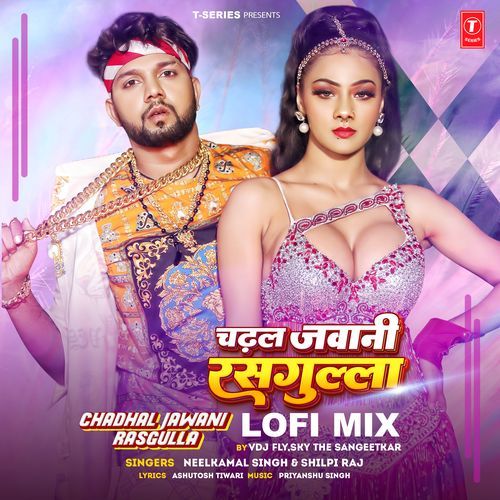 Chadhal Jawani Rasgulla Lofi Mix