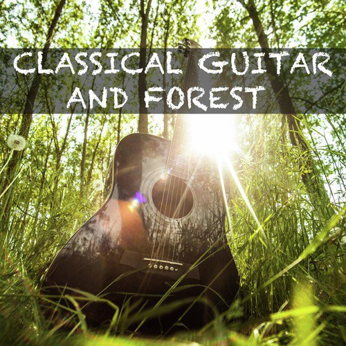 Classical Guitar and Forest