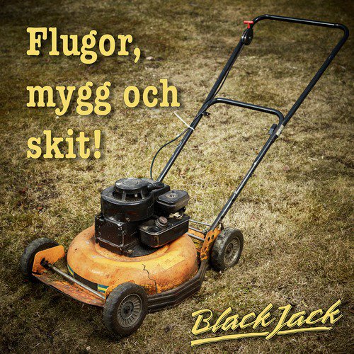 Flugor, mygg och skit