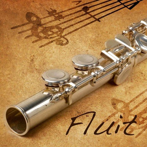 Fluit (Instrumentale Muziek)