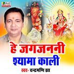 He Jagjanani Shyama Kali
