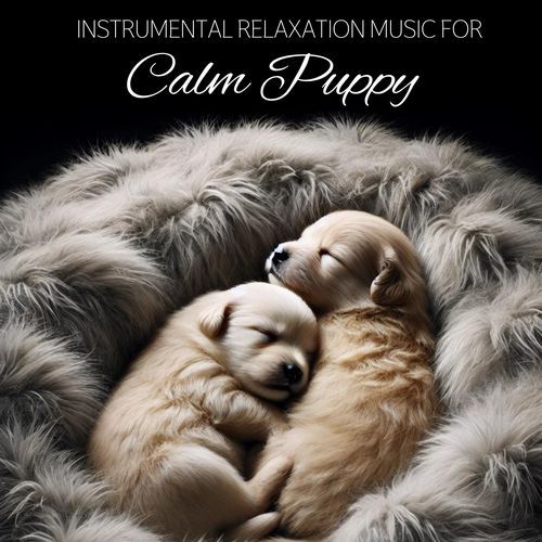Dog Sleep Music cover art