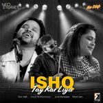 Ishq Tay Kar Liya artwork