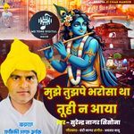 Mujhe Tera Bharosa Tha Tubhi Na Aaya