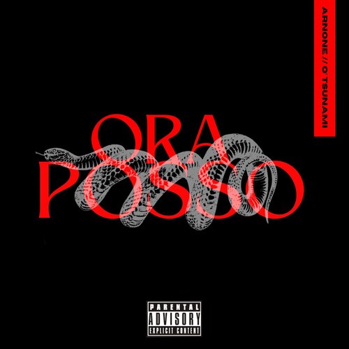 Ora Posso (feat. O&#039;Tsunami)_poster_image