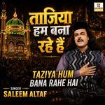Taziya Hum Bana Rahe Hai