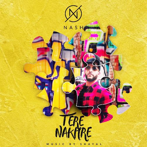 Tere Nakhre_poster_image