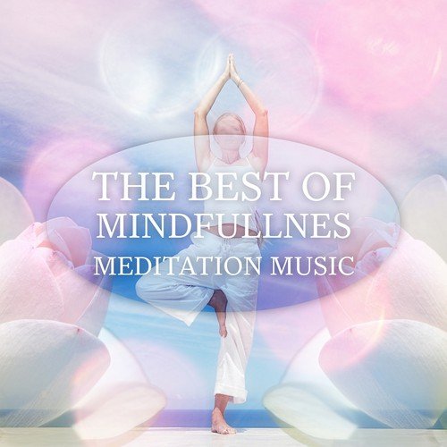 Mindfulness Meditation Oasis