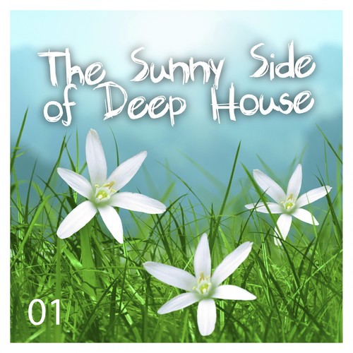 The Sunny Side of Deep House, Vol. 1