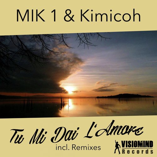Tu Mi Dai L'Amore (DJ Cocodil Remix) cover art