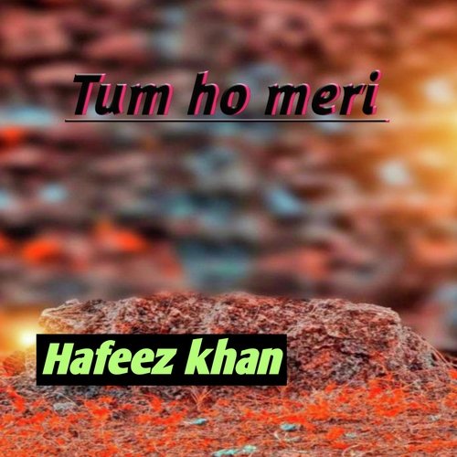 Tum ho meri