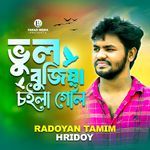 Vul Bujhiya Choila Geli