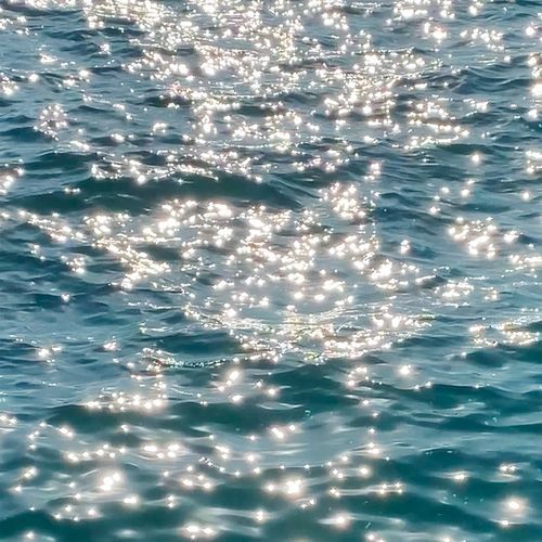 Waves