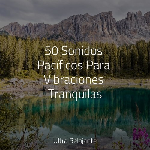 Meditaciones Melódicas cover art