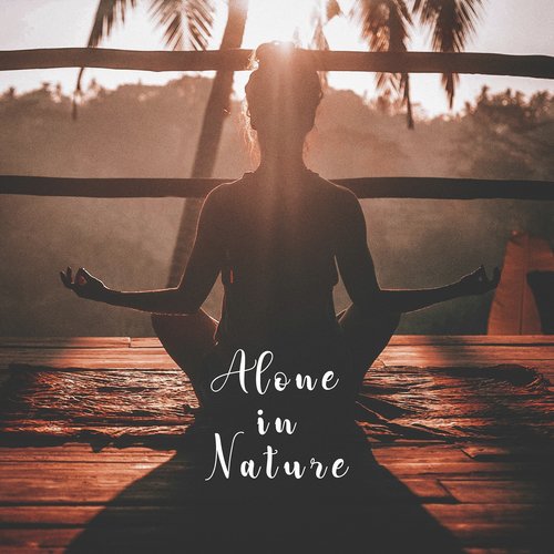 Alone in Nature_poster_image