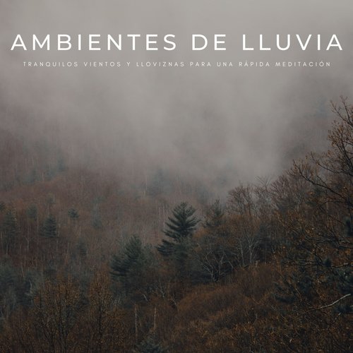 Relajantes Sonidos De Lluvia cover art