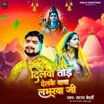 Dilwa Tod Delkai Baba Loverwa Ji