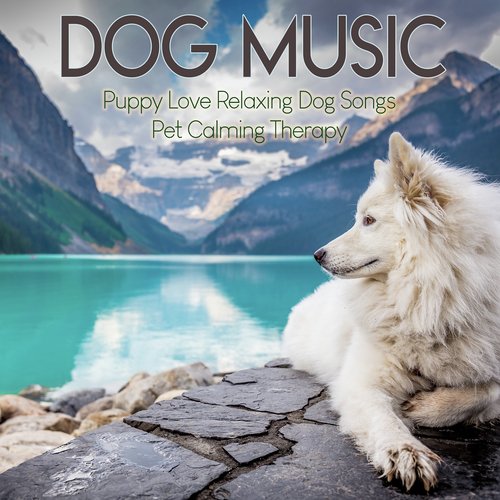 Dog Music : Puppy Love Relaxing Dog Songs, Pet Calming Therapy_poster_image