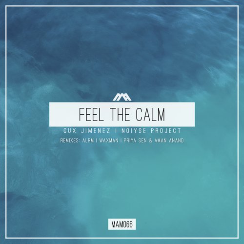 Feel the Calm (Priya Sen & Aman Anand Remix)