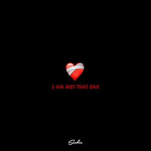 I Am Not That Bad