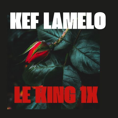 TELLO MA JOIE cover art