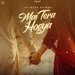 Mai Tera Hogya artwork