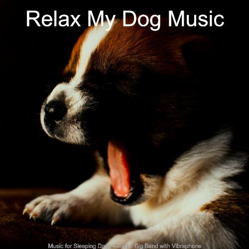 Music for Sleeping Dogs - Stellar Big Band with Vibraphone