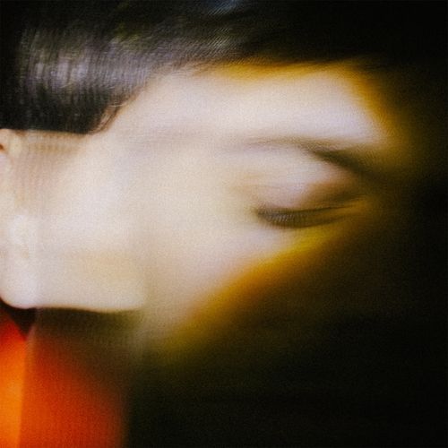 Golden Toad cover art