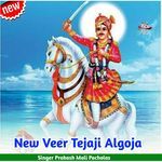 New Veer Tejaji Algoja