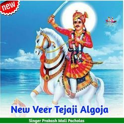 New Veer Tejaji Algoja