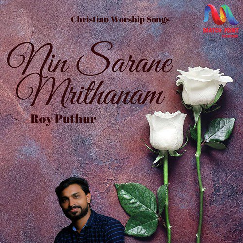 Nin Sarane Mrithanam - Single