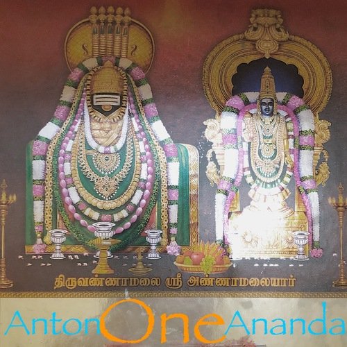 One cover art