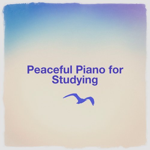 Peaceful Piano for Studying_poster_image